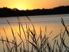 img_6946s