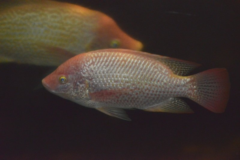 CDD_2563