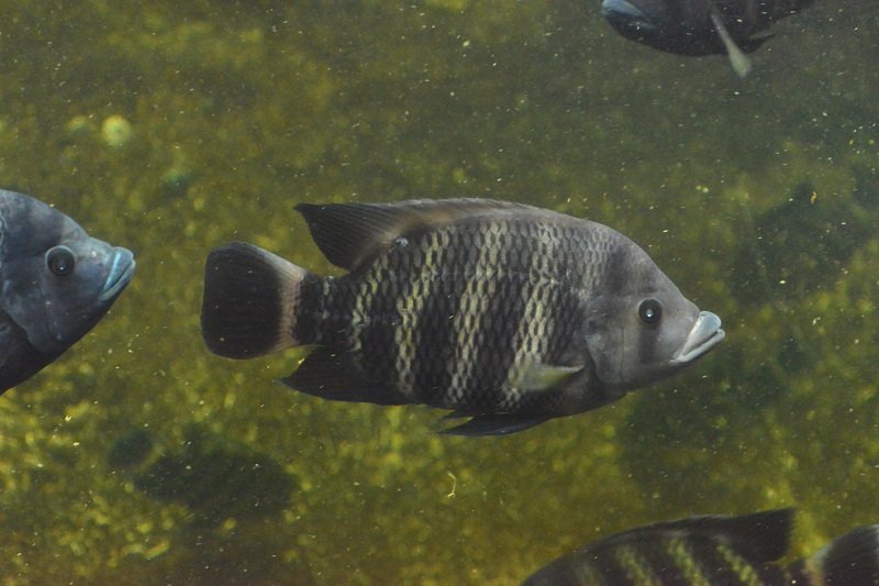 CDD_2573