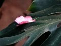 DSC03438
